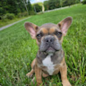 Meet your Posher, Rob